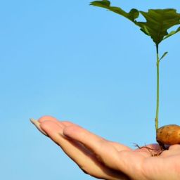 MissionCX Cumbria Community Foundation & our Acorn Fund
